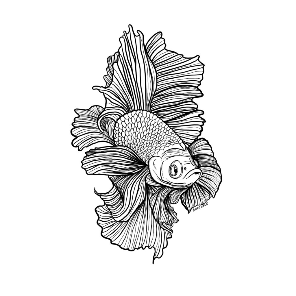 Fighting Fish Beta - Tauch T-Shirt